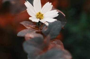 Domine a Criação de Landing Pages que Convertam: Curso Prático para Profissionais de Marketing e Empreendedores